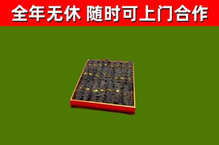 滨海新区回收海参